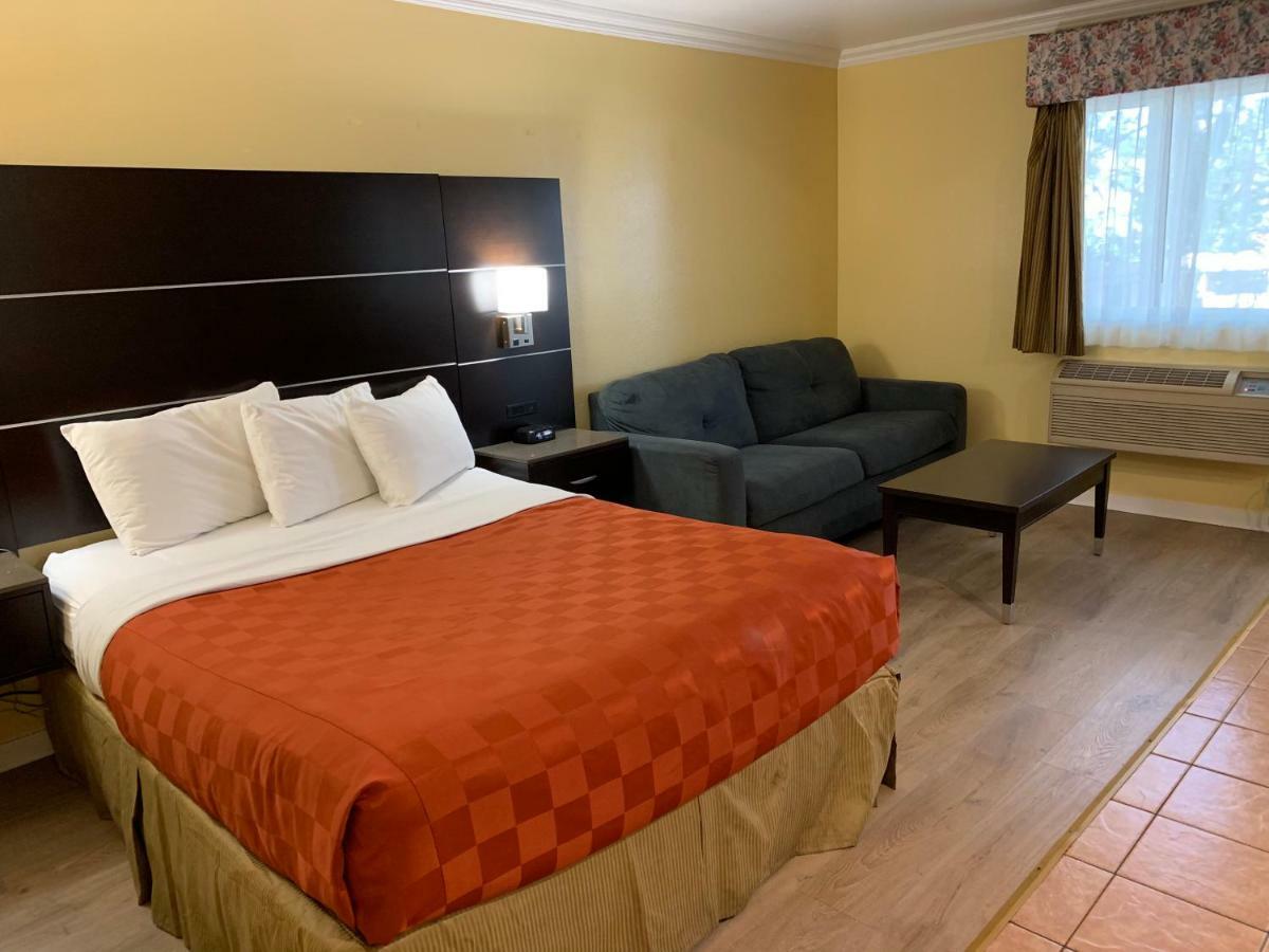 Olive Tree Inn & Suites Сан Луис Оубиспоу Екстериор снимка