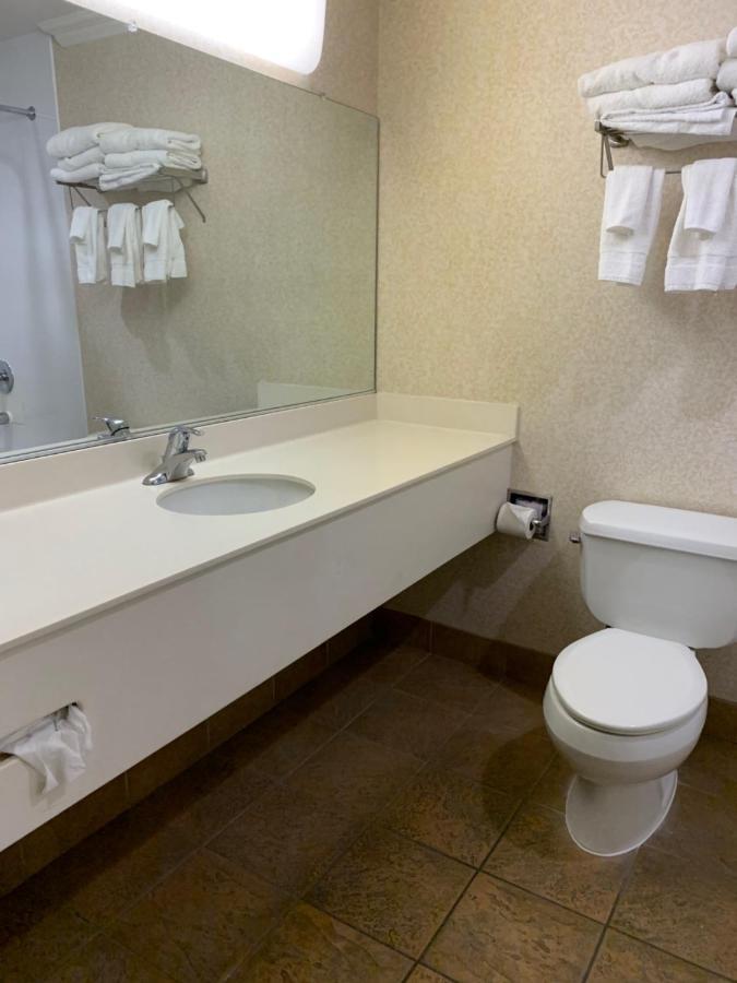 Olive Tree Inn & Suites Сан Луис Оубиспоу Екстериор снимка