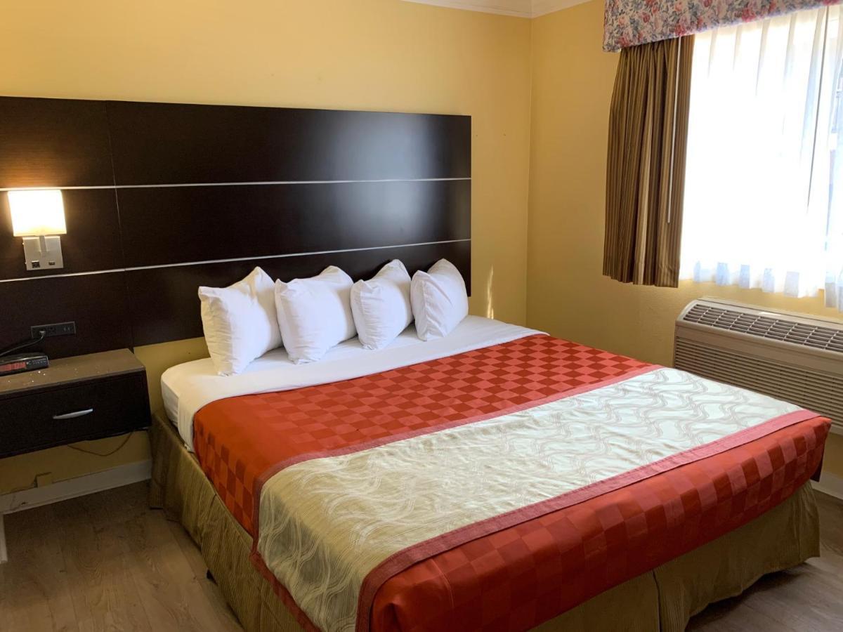 Olive Tree Inn & Suites Сан Луис Оубиспоу Екстериор снимка