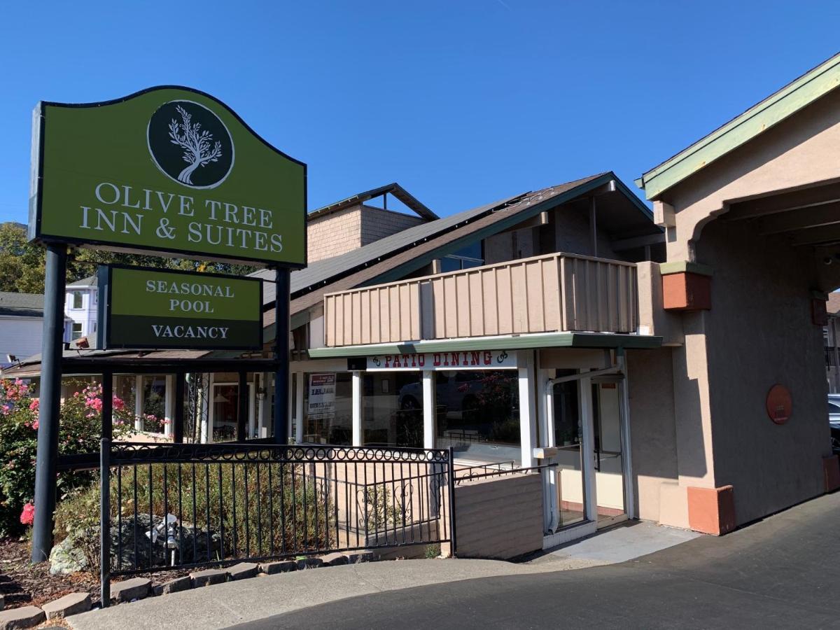 Olive Tree Inn & Suites Сан Луис Оубиспоу Екстериор снимка